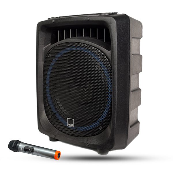 01-8 (1) اکوهمراه 12 اینچ مدل 912F بدون میکروفن رعد RAD