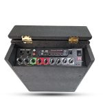 اکوهمراه 6 اینچ با میکروفن بی سیم رعد RAD - Image 2