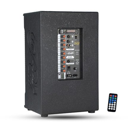 اکوهمراه 8*2 اینچ مدل 928 با میکروفن بی سیم رعد RAD