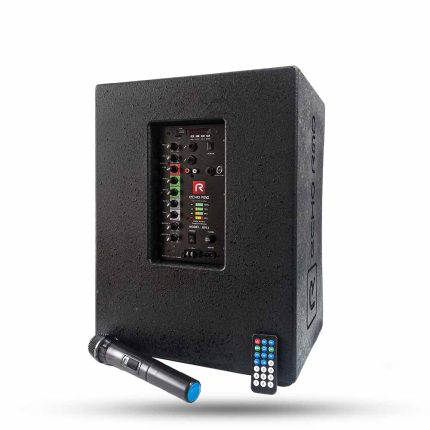 اکوهمراه 12 اینچ مدل R912H با میکروفن بی سیم رعد RAD